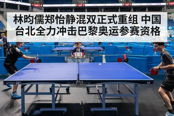 table tennis competition